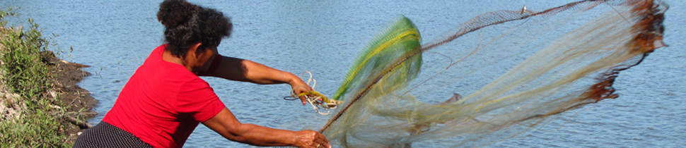 Acciones de soberanía alimentaria y producción agrícola