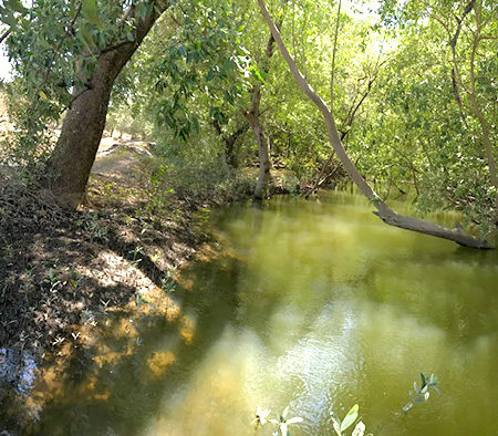 Programa-para-el-mejoramiento-de-cuencas-costeras-y-medios-de-vida-2