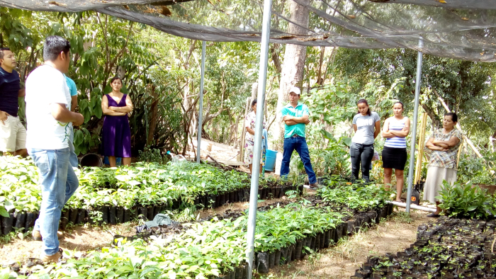 capacitacion-distribucion-frutales-forestales-comacaran-funsalprodese