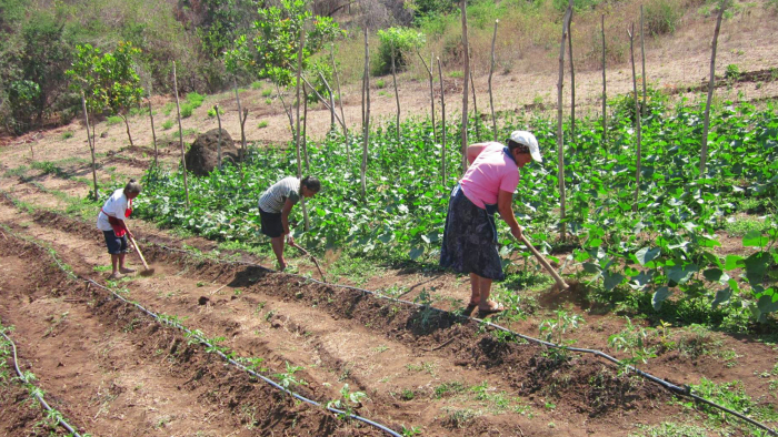 Mujeres participantes en un proyecto de agricultura y soberanía alimentaria
