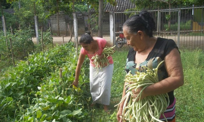 Mujeres participantes en procesos comunitarios de FUNSALPRODESE