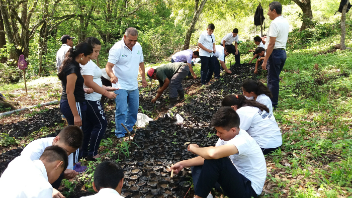 Acciones de arborización del proyecto ambiental en Conchagua